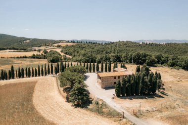 Selvi ağaçları, tarlaları ve tepeleri olan tipik bir Toskana manzarası