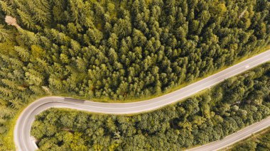 Yoğun yeşil bir ormanı kesen, dolambaçlı bir yolun havadan görünüşü, doğanın ve altyapının güzelliğini gözler önüne seriyor.