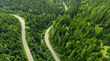 Yoğun, canlı yeşil bir ormanı kesen, dolambaçlı bir yolun havadan görünüşü, doğanın ve ulaşım altyapısının güzelliğini gözler önüne seriyor.