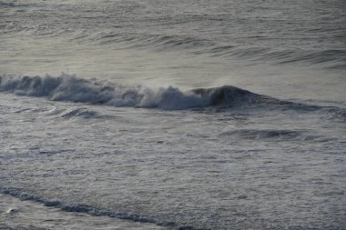 Sahildeki deniz dalgaları