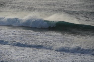 Okyanus kıyısındaki büyük dalga.