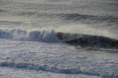 Dalgalar sahile çarpıyor.