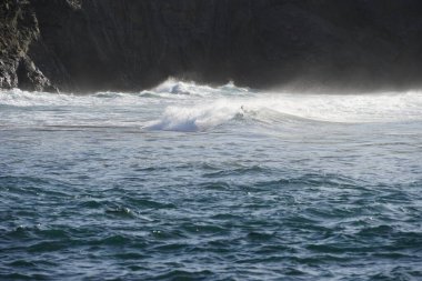 Dalgalar sahile çarpıyor.