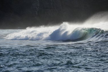 Dalgalar sahile çarpıyor.