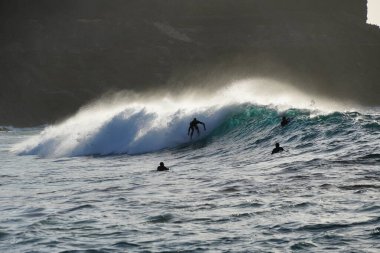 Sörfçüler 10 Aralık 'ta Hawaii' de okyanus kıyısında sörf yapıyor.