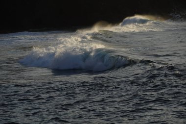 Dalgalar sahile çarpıyor.