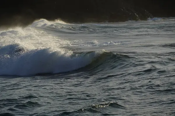 Pasifik Okyanusu kıyısında dalgalar kopuyor..
