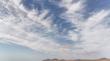 Ağacı ve bulutlu gökyüzü olan güzel bir manzara.
