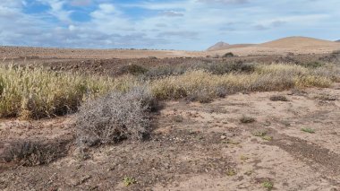 İsrail 'in kuzeyindeki çöl manzarası.