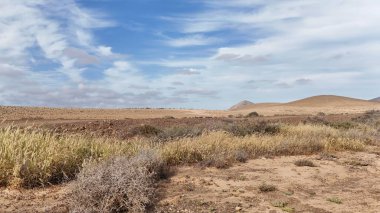Gün ışığında bulutlu bir gökyüzünün altında kuru bir kumla yüksek açılı bir çöl manzarası