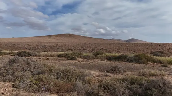 Kuru bir ağaç ve mavi gökyüzü ile manzara