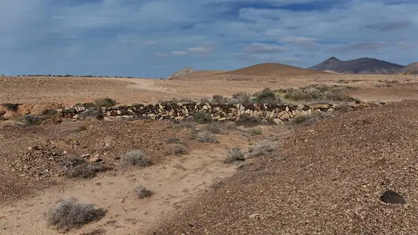 İsrail 'in kuzeyindeki Negev çölündeki çöl manzarası.