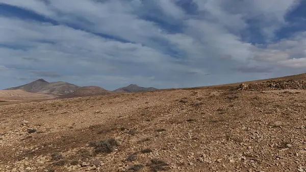 İsrail 'deki Negev Çölü manzarası