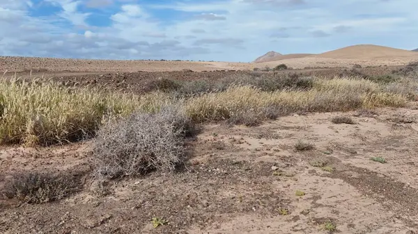 İsrail 'in kuzeyindeki çöl manzarası.