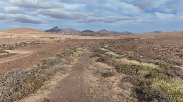Mavi gökyüzünün altındaki bir tarlanın ortasında güzel bir yol görüntüsü.