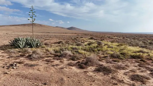 Atakama Çölünün manzarası.