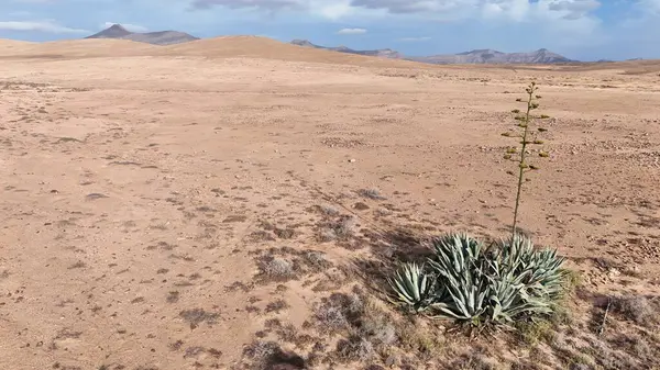 Dağların güzel manzarası