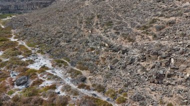 Dağlarda nehir ve kayalar olan güzel bir manzara.