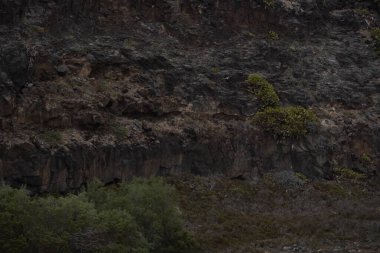 Dağların güzel manzarası