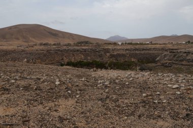 İsrail 'in kuzeyindeki Akdeniz adasının dağlarındaki manzara.