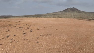 Tenerife 'deki volkanik manzara, kanarya adaları