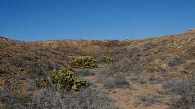 Arka plandaki vadinin çölü.