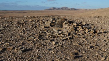 İspanya 'daki Fuerteventura Adası