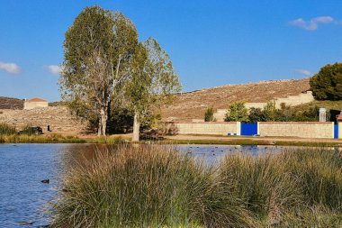 Keklik kuşları ve ördekler gölde yüzüyor.
