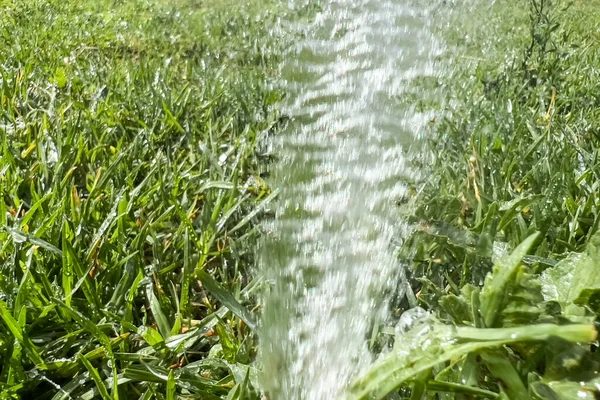 Automatyczny Zraszacz Wody Podlewający Zielony Ogród — Zdjęcie stockowe