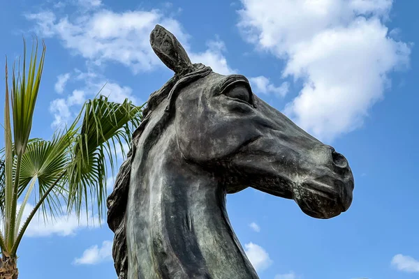 Metalen Standbeeld Van Een Paard Een Openbaar Park — Stockfoto
