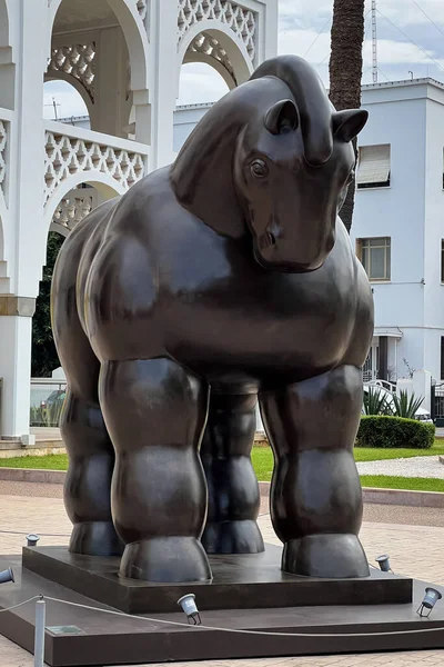 Brązowy Posąg Konia Przed Muzeum Sztuki Nowoczesnej Współczesnej Mohammeda Rabacie — Zdjęcie stockowe