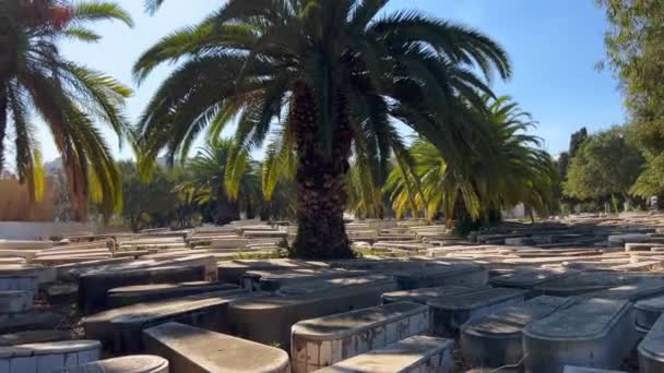 Gammal Judisk Kyrkogård Staden Tanger Marocko — Stockvideo