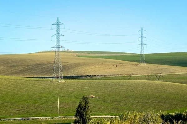 Electricity network poles on a rural area with a green field
