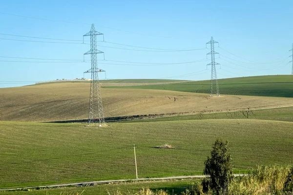 Electricity network poles on a rural area with a green field