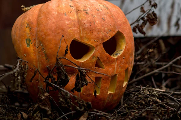 Хэллоуин Трущобах Праздник Осени — стоковое фото