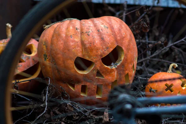 stock image halloween october holiday orange pumpkin and candles