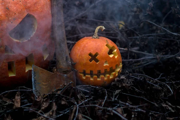 stock image halloween orange pumpkins in the slums autumn festival celebration