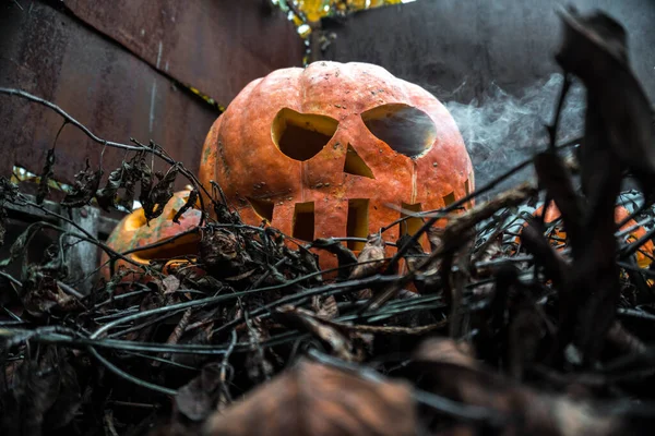 Citrouilles Orange Halloween Dans Les Bidonvilles Fête Automne — Photo