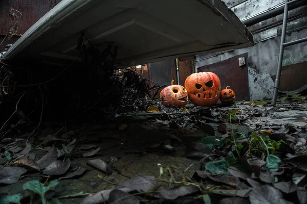 Хэллоуин Трущобах Праздник Осени — стоковое фото