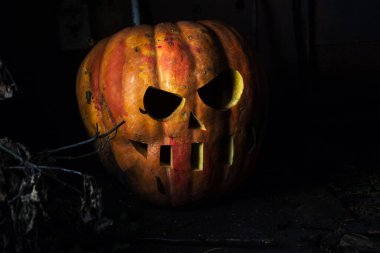 Sonbahar festivalinde cadılar bayramı turuncu balkabakları