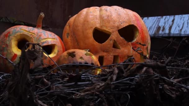 Halloween Pomarańczowe Dynie Slumsach Jesień Święto — Wideo stockowe