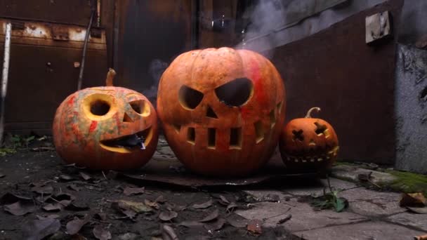 Halloween Oranžové Dýně Slumech Podzimní Slavnost — Stock video