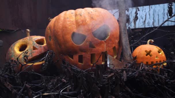 Halloween Oranžové Dýně Slumech Podzimní Slavnost — Stock video