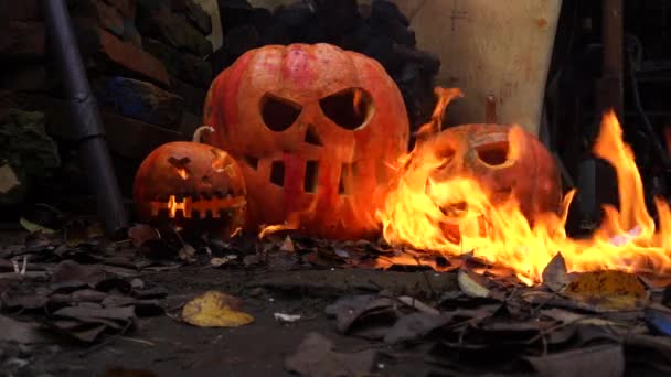 빈민촌에 할로윈 오렌지 호박은 불타고 — 비디오