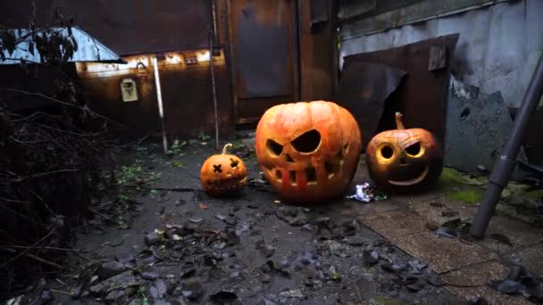 Halloween Abóboras Laranja Nas Favelas Celebração Festival Outono — Vídeo de Stock
