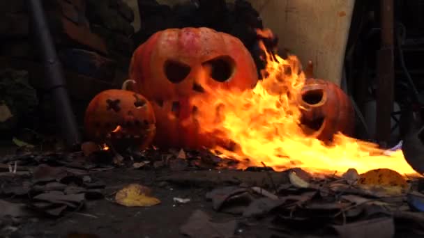 Halloween Oranžové Dýně Slumech Jsou Plamenech — Stock video