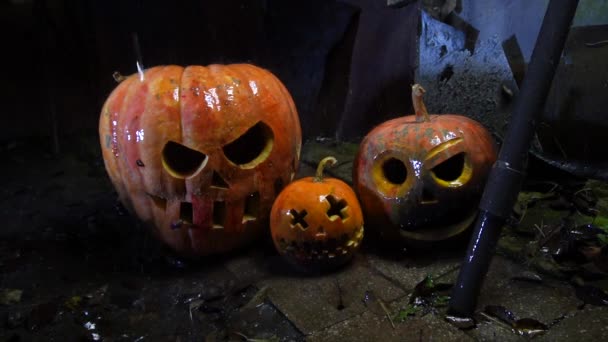Хэллоуин Оранжевые Тыквы Трущобах Дождем — стоковое видео