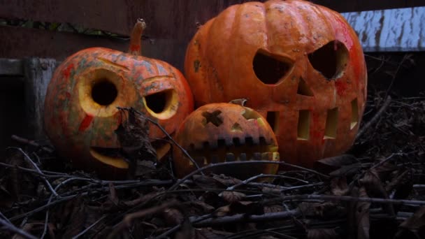 Halloween Oranžové Dýně Slumech Pod Červeným Deštěm — Stock video