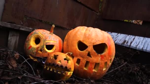 Halloween Apelsinpumpor Slummen Höstfest — Stockvideo
