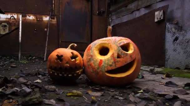 Halloween Oranje Pompoenen Sloppenwijken Herfst Festival Viering — Stockvideo